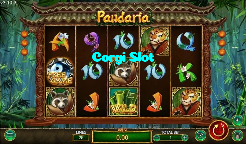 available types of Corgi Slot bet including pre-match live express and system bets