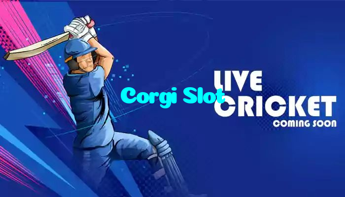 Corgi Slot casino presented on mobile device in Pakistan with slots and live games
